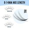 IECILI Lash Clusters Individual Lashes - 280pcs 10D Cluster lashes for DIY Lash Extensions -Super Thin & Soft Eyelashes 8-14mm C Curl Cluster Eyelash Extensions for Natural Wispy Look