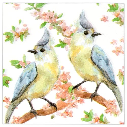 Gift Boutique 100 Bird Cocktail Beverage Napkins Disposable Paper Birds on Branches with Flowers Dessert Napkin Spring Summer Birthday Party Supplies