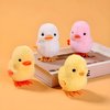 HawaStar Wind-Up Plush Toys Fluffy Realistic Jumping Chicks & Ducks for Kids (Pack of 4)