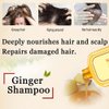 Ginaday Instant Ginger Hair Regrowth Shampoo, Ginger Anti-Fall Shampoo, Ginger Shampoo for Hair Growth, Ginger Hair Care Shampoo, Ginger Anti-Hair Loss Hair Shampoo (yellow 280ML)