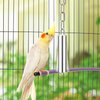 Stainless Steel Bell Toy Bird Cage Hanging Bite Toy for Parrot Parakeet Budgie Cockatiel Conure African Greys (S)