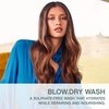 KEVIN.MURPHY BLOW.DRY WASH - Nourishing, Repairing Hair Care - Safe for Everyday Use - Deep Nourish Hair Shampoo - Offers Heat Protection - 250 mL / 8.4 fl oz