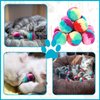 Amaxiu 1.2 in Colorful Cat Pom Pom Ball Toys, 20 Pcs Rainbow Cat Toy Balls Soft Plush Cat Ball Interactive Toy Training Ball Toy for Indoor Cats Kitten Exercising Playing