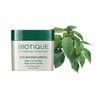 Biotique Bio Winter Green Spot correcting Anti-Acne Cream, 15 gm