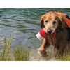 Bark Brite The Chewy Buoy Water Dog Toy