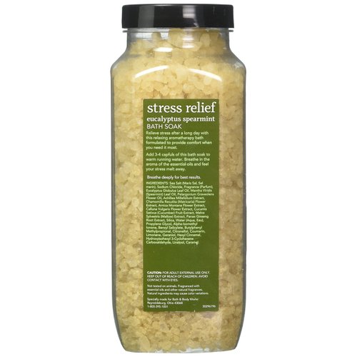 Bath and Body Works Eucalyptus Spearmint Bath Soak Aromatherapy