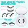 Magnetic Eyelashes with Lash Clusters Applicator Fluffy Magnetic False Lashes Kit Wispy Reusable Cluster Eyelash Extensions with Magnets No Lashes Glue or Liner Needed(1 Pairs-Dense)