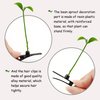 30Pcs Bean Sprout Hair Clips Set, Cute Green Plant Hair Barrettes for Women, Girls, and Kids, Funny Grass Hairpins for School, Parties, and Everyday Wear