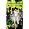 WWE Elite Ghostbusters Shawn Michaels Action Figure
