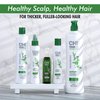CHI Power Plus Revitalizing Scalp Treatment - Paraben and Gluten Free, 3 oz.