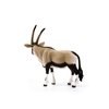 Schleich Wild Life, Detailed and Realistic Safari Animal Toy Figures for Kids, Oryx Toy Figurine, Ages 3+