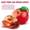 Gourmet Nut Simple Slices Organic Baked Apple Chips, USA Grown Apples, No Added Sugar, Red Apples, 75oz (Pack of 24)