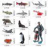 Sea Ocean Marine Animal Model Toy Sets 12 PCS Diver Salmon Life Cycle Dolphin Penguin Manta Ray Figure Toys for Boys Girls Christmas Birthday Gifts