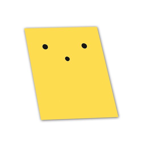 Animewild Wooser: Wooser's Facial Oil Removal Paper