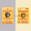 Burt's Bees 100% Natural Origin Moisturizing Lip Balm, Original Beeswax with Vitamin E & Peppermint Oil 0.15 Ounce Tube