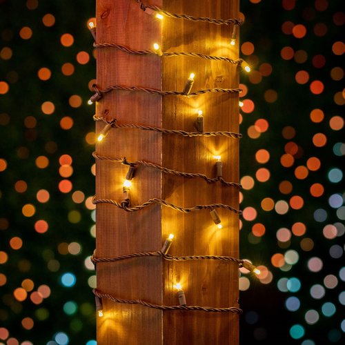 Novelty Lights Warm White LED Christmas String Lights - UL Listed Indoor/Outdoor Light Set w/ 100 Mini Bulbs for Christmas Tree, Patio, Wedding Decor, and More - (Brown Wire, 34' Long)