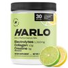 Harlo - Citrus Salt Electrolyte Drink Mix with Bovine Collagen & Creatine - Creatine Monohydrate Powder - Energy Drink Powder - Pre Workout Powder - Sugar Free Energy Drinks - Post Workout Recovery