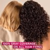 L'Oreal Paris Excellence Creme Permanent Hair Color, 6 Light Brown, 100 percent Gray Coverage Hair Dye, Pack of 2