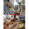 JONGLYEE Dog Toys for Aggressive Chewers,Flying Ring for Dog Training,Chewing Cathing Form Toys
