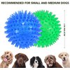 petizer 6 Pack 2.5” Squeaky Dog Toy Balls, Floating Dog Pool Balls, Spiky Dog Balls, Durable Interactive Fetch Toys for Puppy, Dog Chew Toys for Teething (2.5", Small Dog)