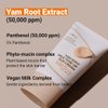 ISNTREE Yam Root Milk Tone Up Sun Cream 50ml, 1.69 fl oz | Moisturizing tinted SPF50+ PA++++ | Natural Coverage | Vegan skincare | Korean Skincare