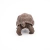 Papo Galapagos Tortoise Toy Figure