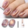 Double Rhythm 15ML Ice Glass Cat Eye Gel Polish with Magnet Holographic Glitter Shimmer Translucent Sheer Color Salon Soak Off Magnetic Nail at Home (Dark Violet-MC1129)