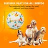 Dog Balls for Aggressive chewers,Indestructible Dog Toy Balls,Puppy Chew Toys for Teething, Dog Chew Toy,Tough Dog Toys for Medium Small Dog, Dog Fetch Ball,Dog Tennis Ball 2.5" pet-toy for dogs.