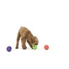 WEST PAW Zogoflex Rumbl Treat-Dispensing Dog Toy – Interactive Slow-Feeder Chew Toys for Dogs – Dog Enrichment Toy – Dog Toy for Moderate Chewers, Fetch, Catch – Holds Kibble, Treats (Melon, Small)