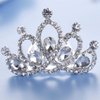 Jakawin Rhinestone Wedding Hair Comb Crystal Flower Girls Headpiece Bridal Tiara Combs Crown Birthday Gift (Sliver)