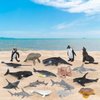 BRETOYIN Mini Sea Animals Figurines Fish Set 18PCS Whale Bath Toys Figure Whale Ornament for Kids Toddlers Preschool Educational Playset