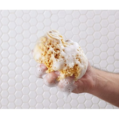 BULLDOG Mens Skincare and Grooming Body Wash, Coastline, 16.9 Fluid Ounce