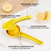JIEJIE Lemon Squeezer - Lemon Juicer - Metal Manual Hand Juicer Tool, Lemon & Lime Squeezer,Kitchen Tools for citrus juicer & Dishwasher Safe