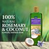 Parachute Advansed Rosemary Enriched Coconut Hair Oil| For 2x Longer & Thicker Hair| Reduces Hairfall & Strengthens Hair| All Hair Types|No Parabens & Silicones| 10.1 Fl.oz.