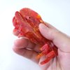 Lobster Claw Clip,Acetate Hair Clips,Small Claw Clips for Women