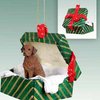 Chesapeake Bay Retriever Gift Box Christmas Ornament - Delightful!