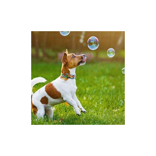 Bubbletastic Dog Bubbles 8oz. Refill Bottle of Bacon Bubble Solution