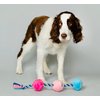 RASCAL Scruffy Tug Buttons - Dog Toy - All Breeds