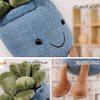 Quioee 3pcs Succulent Plush Toy Potted Plants Plush Doll, Simulation Succulent Plushies Home Decoration Stuffed Soft Plushies (Pink+White+Blue)