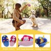 WishLotus Dog Squeak Toys, Soft Plush Dog Chew Toys Cute Slipper Shape Colorful Pet Plush Toy Pet Interactive Toys for Small Medium Dogs to Clean Teeth and Kill Time (Blue)