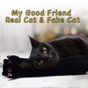 MUFEIRUO Long Cat Plush Pillow,50CM Long Cat Stuffed Animals Soft Long Cat Plushie, Black Cat Plush Stuffed Cat for Kids,Gift for Halloween Birthday Christmas