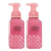 Bath and Body Works Watermelon Lemonade Gentle Foaming Hand Soap 8.75 Ounce 2-Pack (Watermelon Lemonade)