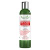 Saw Palmetto & Cayenne Shampoo, Thickening shampoo for thinning hair, Hair loss shampoo, sulfate free