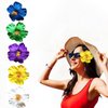 YSSZAM 5 Pcs Hawaiian Flower Hair Clip for Women Girls Fashion Bohemian Flowers Hair Accessory for Dancer Bridal Wedding Beach Party 8 cm