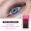 TDANCE Cashmere Easy Fan Lash Extensions Self Fanning Volume Lash Extensions D Curl 0.07mm 14-19mm Matte Black Mega Volume Eyelash Extensions(0.07-D,14-19mm)