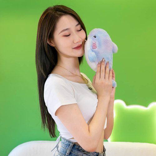 Plush Rainbow Shark Stuffed Animal Colorful Shark Hugging Pillow Shark Plushies Throw Pillow Shark Anime Gift for Kids and Lovers in Birthday,Valentine's Day,Christmas (11-Inch)