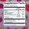 MaryRuth Organics Megadose Vitamin D3 Liposomal | Vitamin D 4000 IU | Ultra Absorption | Immune Support for Adults | Bone Health | VIT D3 | Vegan | Sugar Free | Gluten Free | Non-GMO | 45 Servings