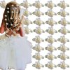 Generic 30 PCS Small White Flower Hair Clips Cute Floral Small Hair Pins Decorative Sweet Hair Barrettes for Women Girl Wedding Bridal Hair Accessories Daily Use Mini Hair Pins