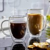 Double Wall Glass Coffee Mugs Set of 2, 16 oz Insulated Coffee Mug with Handle, Clear Borosilicate Glass Coffee Cups for Cappuccino, Tea, Lightweight and Microwave Safe