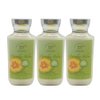 Bath & Body Works CUCUMBER MELON Body Lotion 8 fl oz Gift Set with a Red Bow for Holiday & Gifts Pack of 3 - Limited Edition